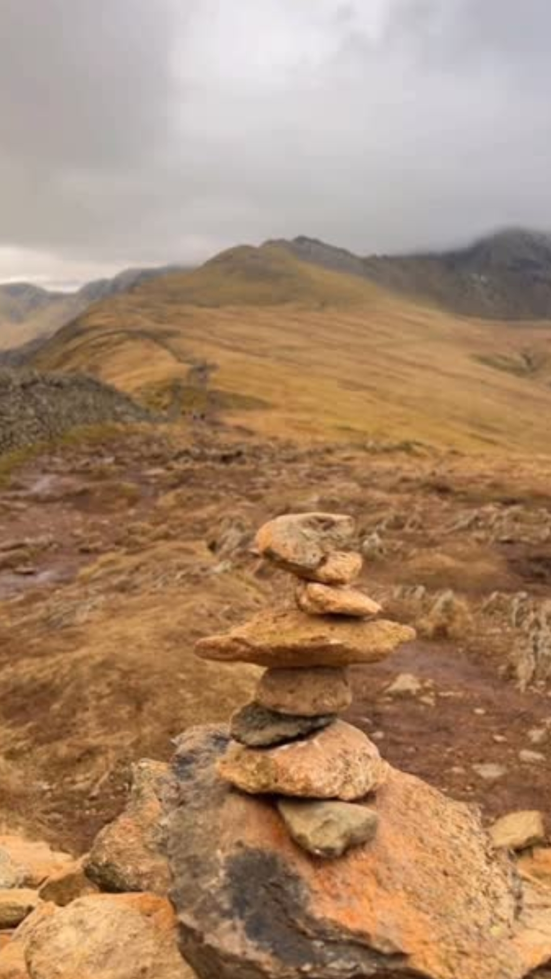 Flat roofer working in Manchester - McAtee Moving Mountains
